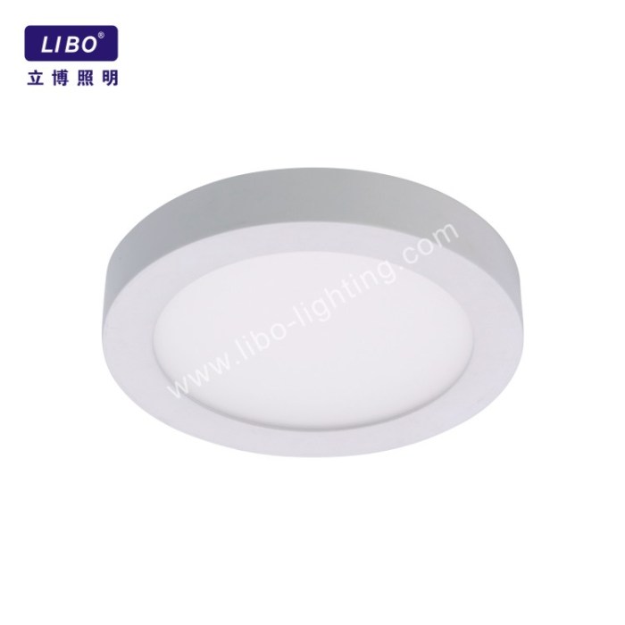 Ceiling hanging fixture chandelier dimmable dimming